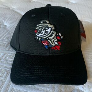 Trash pandas baseball hat